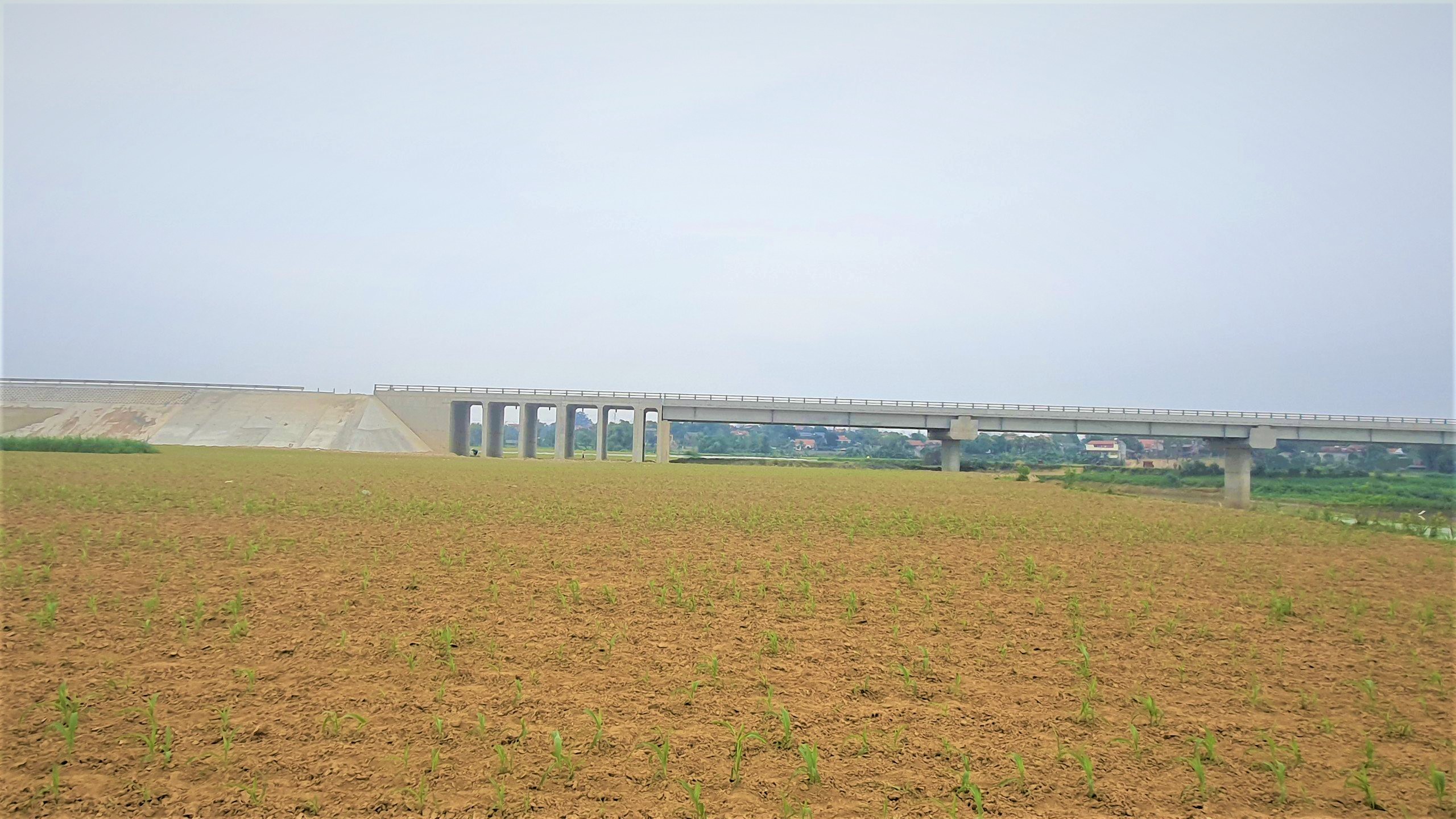 z4448473372799_e49455849e85bf91a9d32da1e3cb2618